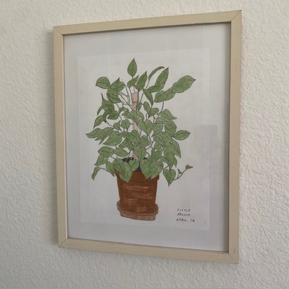 Original Art Philodendron "Little Mama" April‎ 2016 Pencil Drawing Framed - Picture 7 of 10
